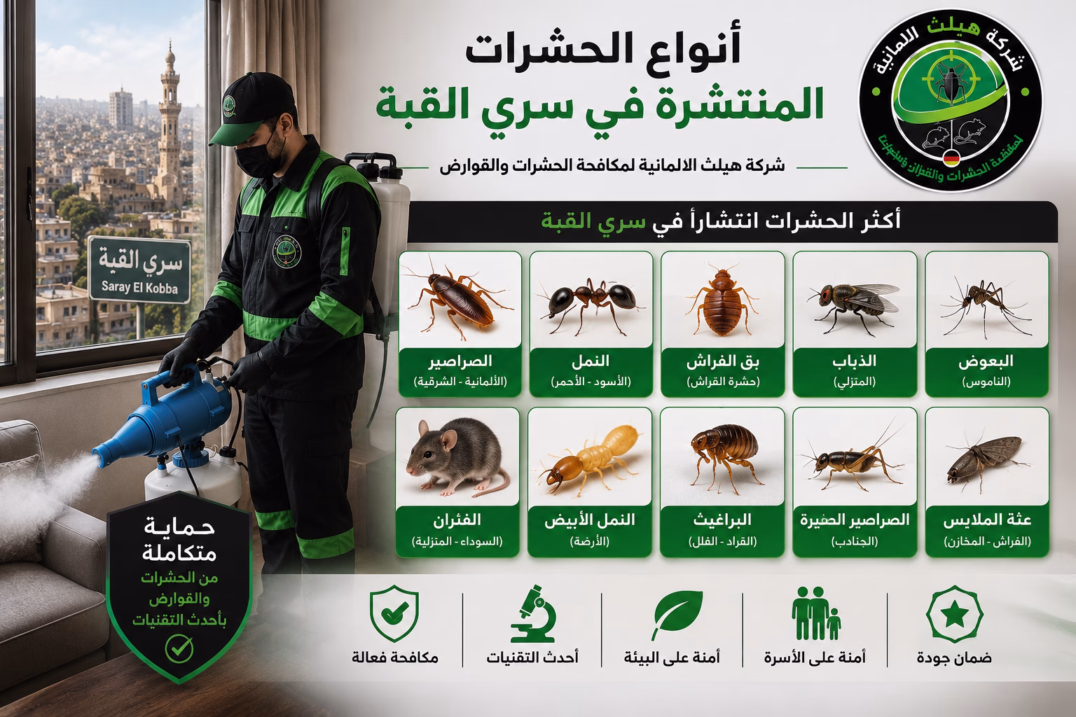 أنواع الحشرات المنتشرة في سرى القبة