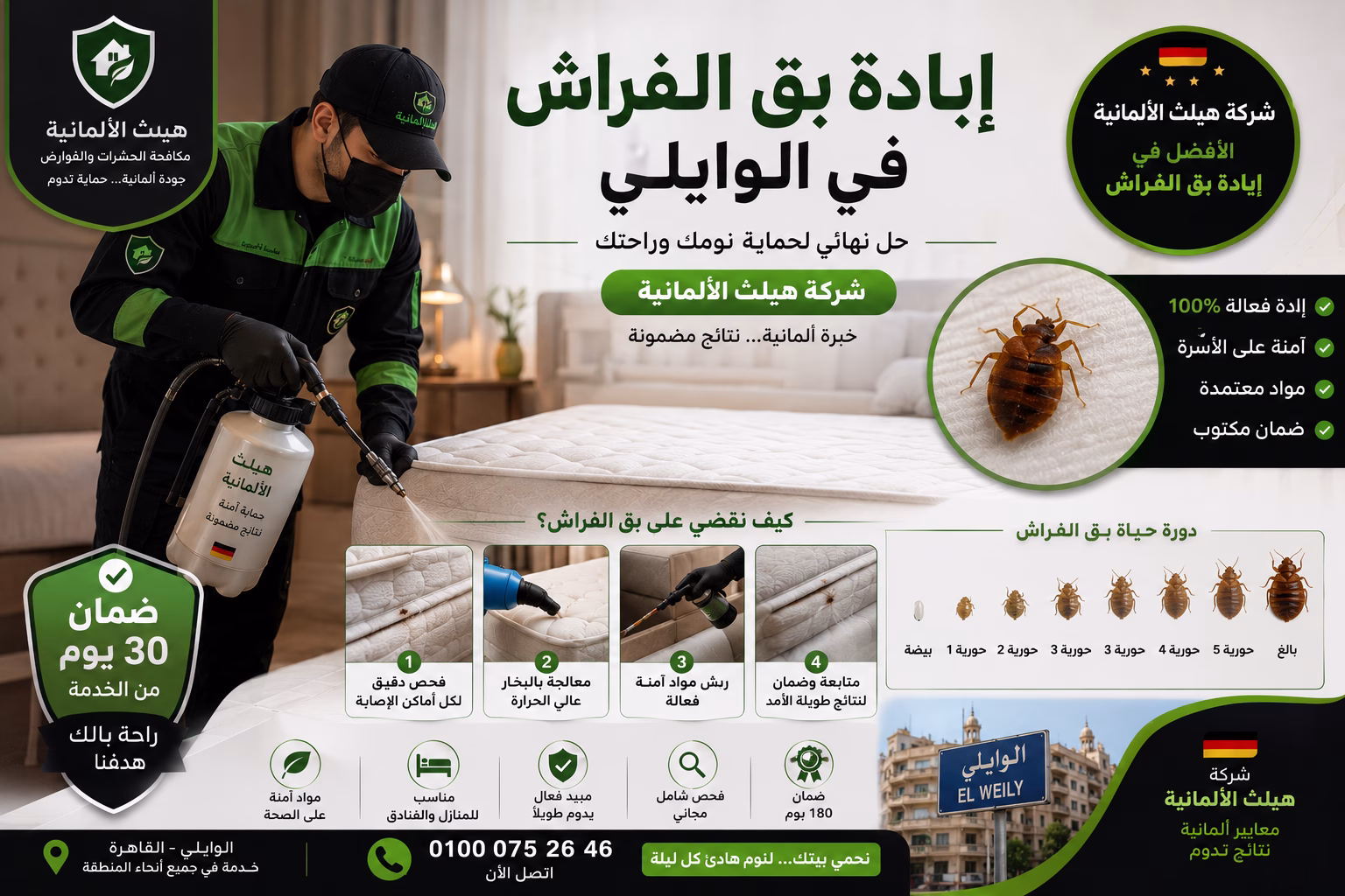 شركة متخصصة لمكافحة الحشرات في الوايلي