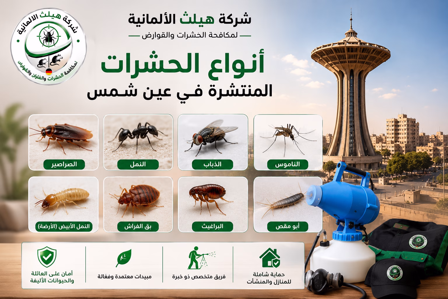أنواع الحشرات المنتشرة في عين شمس